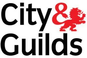 City & Guilds Qualified Engineers London – Liviosiv